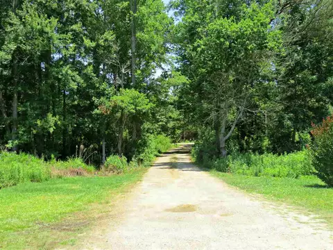 255 Chasbee Ln, Angier, NC 27501 photo 23