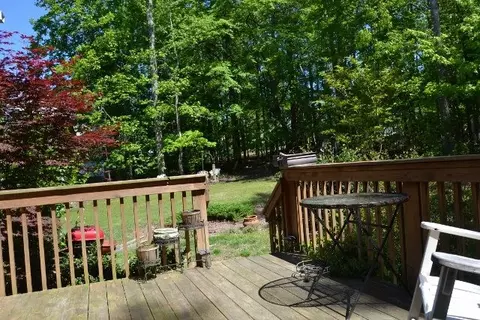 311 Loblolly Dr, Durham, NC 27712 photo 21