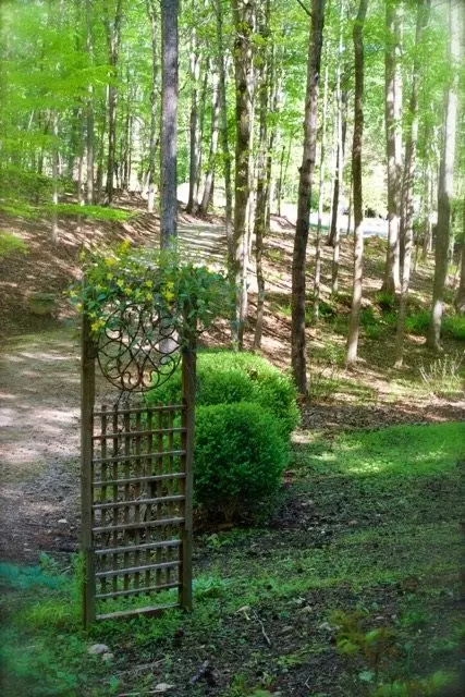 3700 Creekbend Dr, Wake Forest, NC 27587 photo 17