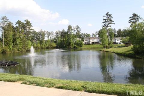 225 Ruby Walk Dr, Morrisville, NC 27560 photo 24