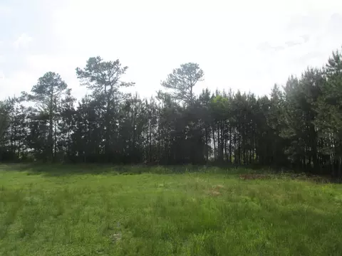 715 Barnes Lake Rd, Middlesex, NC 27557 photo 14