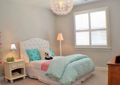 1008 Overlook Ridge Rd, Wake Forest, NC 27587 photo 9