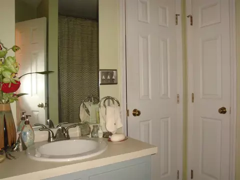 114 Boldleaf Ct, Cary, NC 27513 photo 9