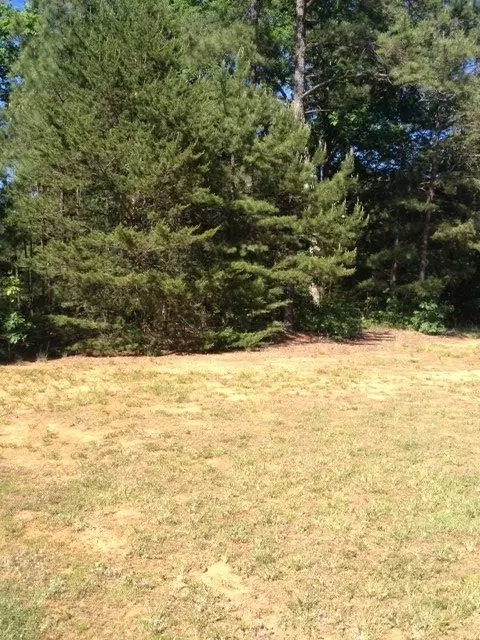 3705 Mable Ln, Stem, NC 27581 photo 23