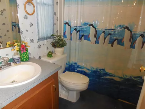 80 Kermit Duncan Rd, Timberlake, NC 27583 photo 2