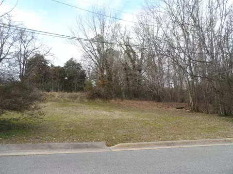 232 E Stallings St, Clayton, NC 27520 photo 2