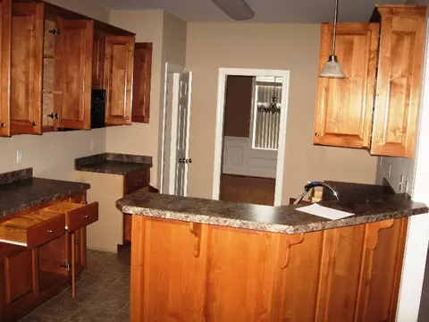 278 W Thicket Dr, Angier, NC 27501 photo 3