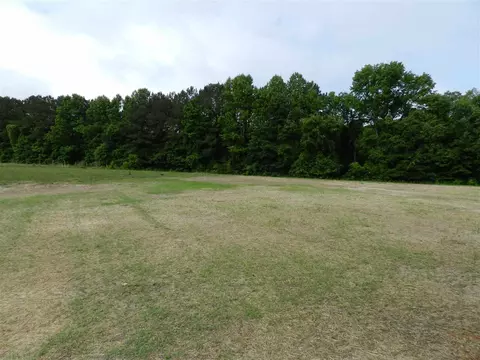77 Grouper Ct, Benson, NC 27504 photo 3