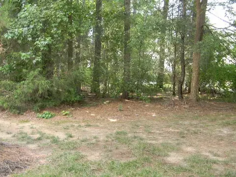 104 Mcnaughton Ct, Garner, NC 27529 photo 11