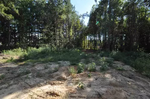2012 Sageleaf Ct, Raleigh, NC 27603 photo 25