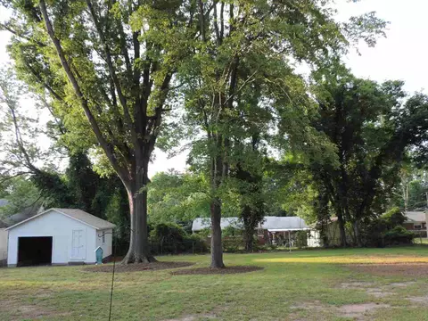 2402 Carver St, Durham, NC 27705 photo 15