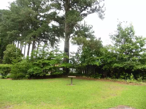 901 S Second St, Smithfield, NC 27577 photo 19