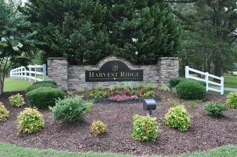 76 Prosperity Ct, Angier, NC 27501 photo 23