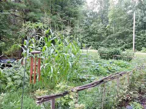 4616 Gray Rd, Timberlake, NC 27583 photo 24