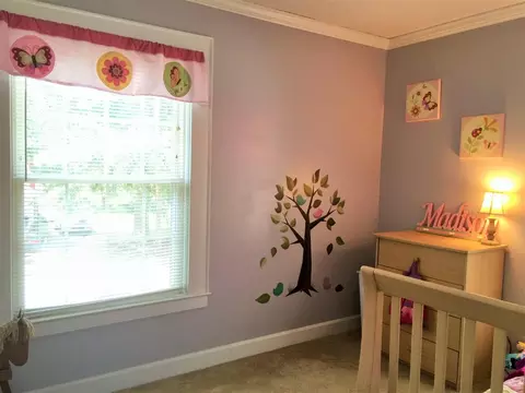 403 E Holmes St, Benson, NC 27504 photo 20