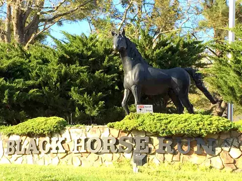 408 Mare Ct, Bahama, NC 27503 photo 25