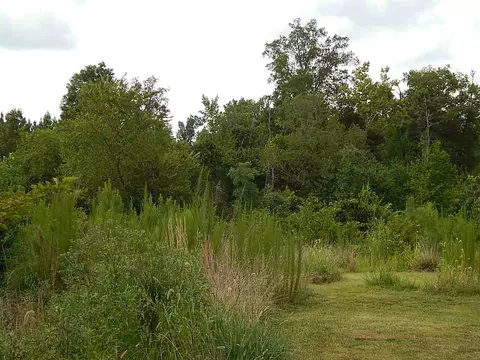 3609 Crosswinds Dr, Stem, NC 27581 photo 3