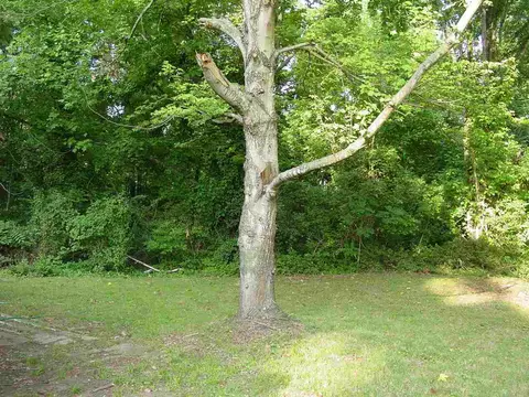 2101 Farthing St, Durham, NC 27704 photo 15
