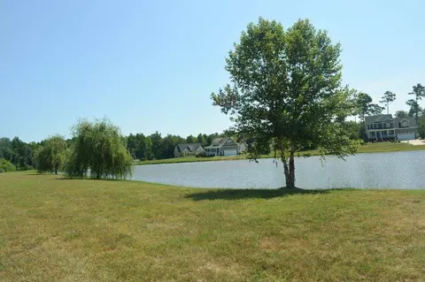 20 Walnut Grove Dr, Bunnlevel, NC 28323 photo 25