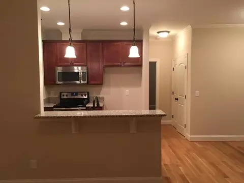 3088 E Thollie Green Rd, Stem, NC 27581 photo 10