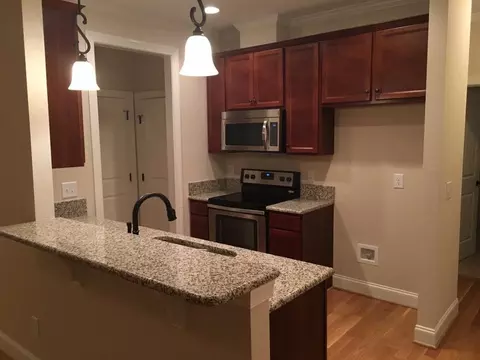 3088 E Thollie Green Rd, Stem, NC 27581 photo 7