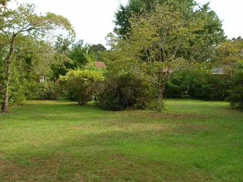 602 Davis Ave, Dunn, NC 28334 photo 9