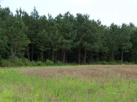 2114 Sanders Rd, Stem, NC 27581 photo 16