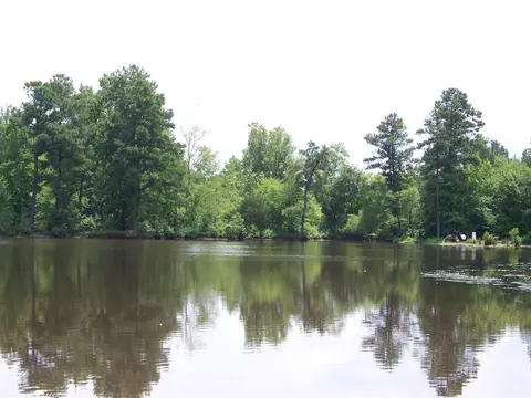 2114 Sanders Rd, Stem, NC 27581 photo 4
