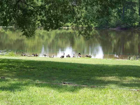2114 Sanders Rd, Stem, NC 27581 photo 9
