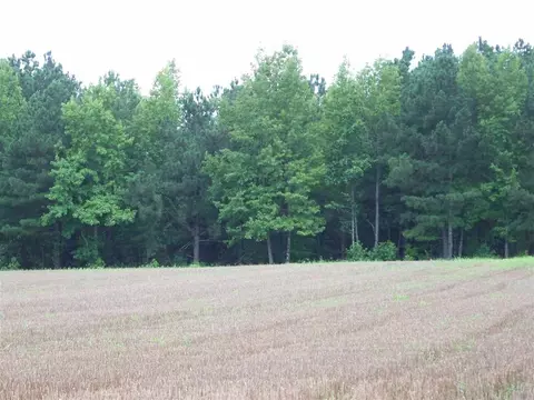 2114 Sanders Rd, Stem, NC 27581 photo 21