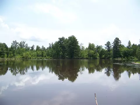 2114 Sanders Rd, Stem, NC 27581 photo 3