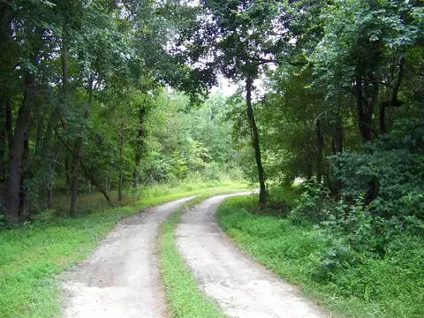 2114 Sanders Rd, Stem, NC 27581 photo 22