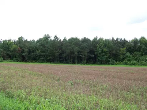 2114 Sanders Rd, Stem, NC 27581 photo 19