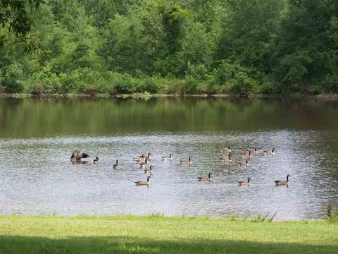 2114 Sanders Rd, Stem, NC 27581 photo 15
