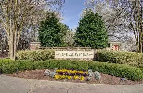 217 Grey Elm Trl, Durham, NC 27713 photo 23