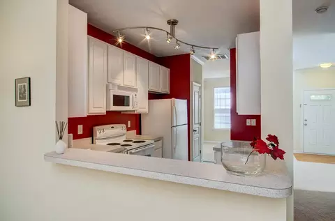 217 Grey Elm Trl, Durham, NC 27713 photo 7