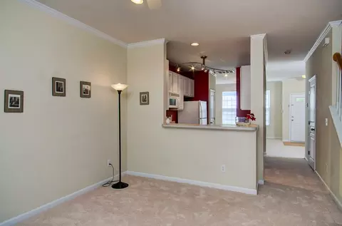 217 Grey Elm Trl, Durham, NC 27713 photo 12