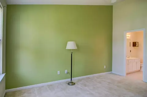 217 Grey Elm Trl, Durham, NC 27713 photo 17