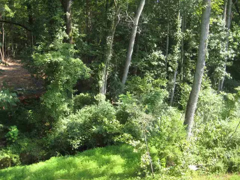 404 Baucom St, Apex, NC 27502 photo 17