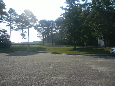 120 Woodside Ln, Benson, NC 27504 photo 1