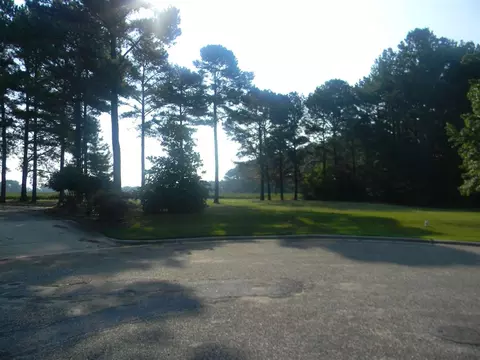 120 Woodside Ln, Benson, NC 27504 photo 3