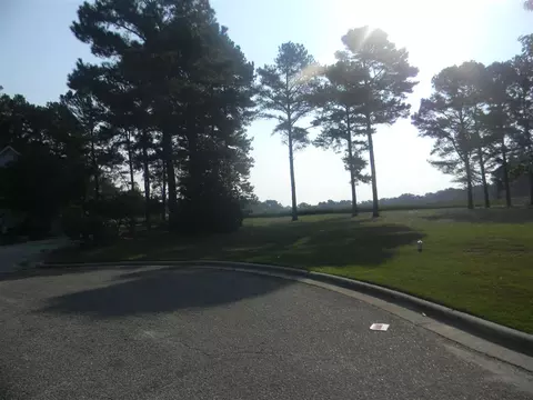 120 Woodside Ln, Benson, NC 27504 photo 4