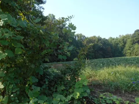 12404 Old Stage Rd, Willow Springs, NC 27592 photo 2