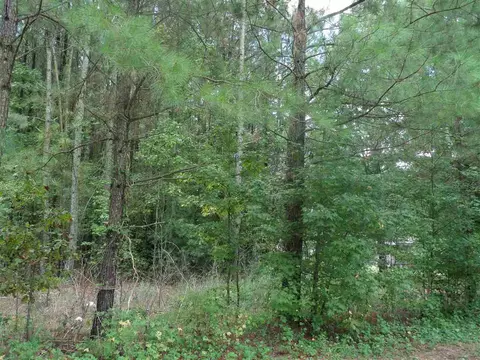 9436 Old Cascade Dr, Garner, NC 27529 photo 3