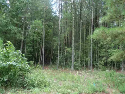 9436 Old Cascade Dr, Garner, NC 27529 photo 2