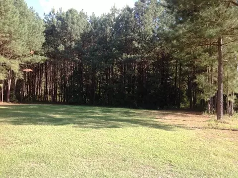159 Mac Ln, Angier, NC 27501 photo 14