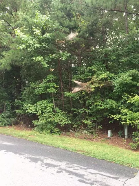 922 Sunstone Dr, Durham, NC 27712 photo 2