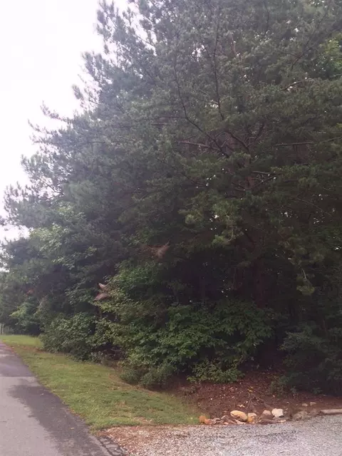 922 Sunstone Dr, Durham, NC 27712 photo 3