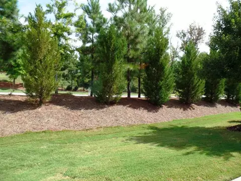 115 Lelcester Ct, Cary, NC 27519 photo 23