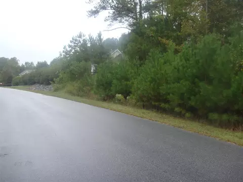 3300 Overhead Ct, Willow Springs, NC 27526 photo 4